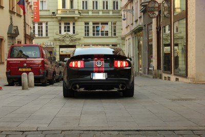 Shelby 2012-1.JPG