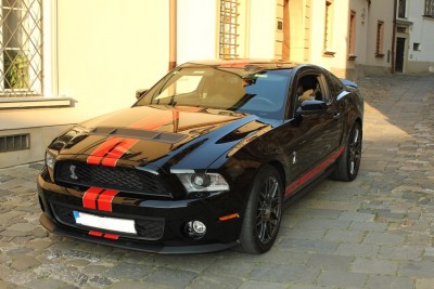 Shelby 2012-8.JPG