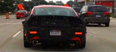 shleby GT500 2013 z.jpg